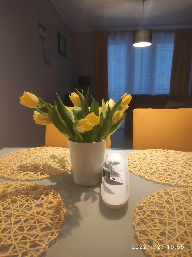 Przytulny Apartament, 2 Pokoje Nad Morzem Διαμέρισμα Γκντανσκ Εξωτερικό φωτογραφία