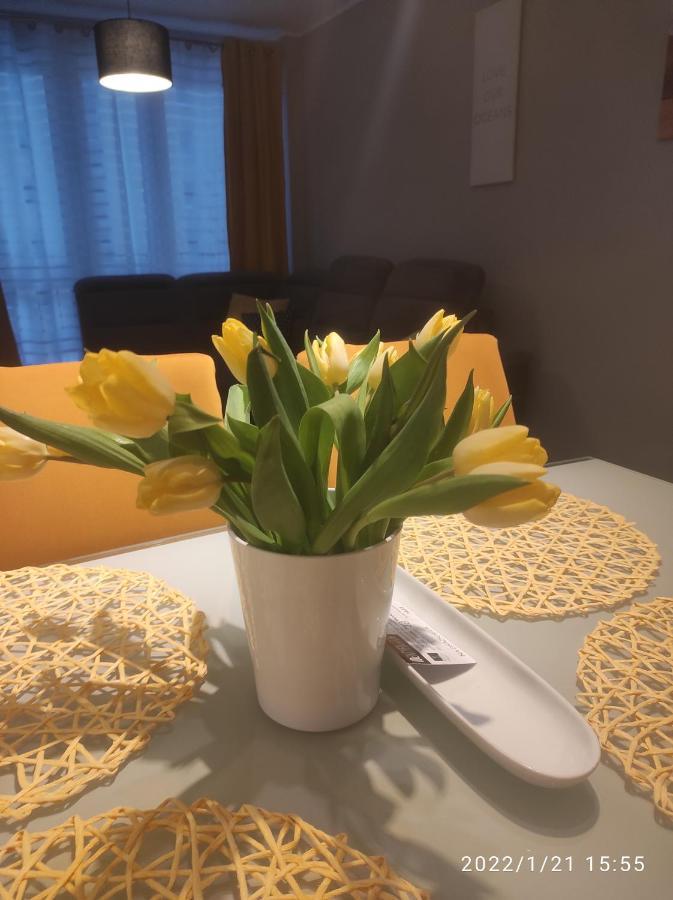 Przytulny Apartament, 2 Pokoje Nad Morzem Διαμέρισμα Γκντανσκ Εξωτερικό φωτογραφία